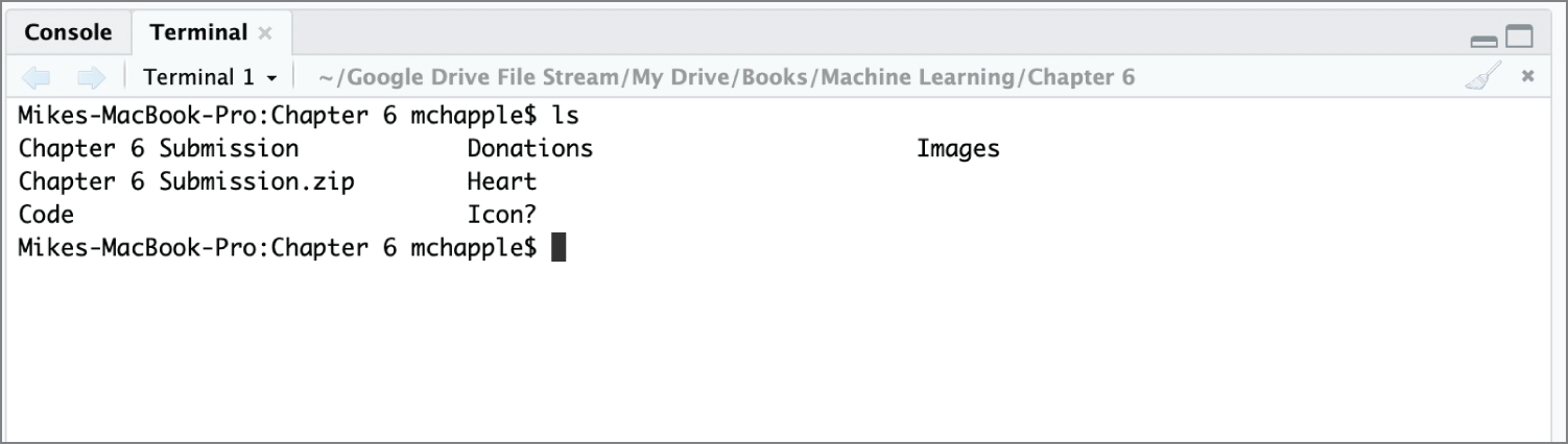 Snapshot of the accessing the Mac terminal in Rstudio.