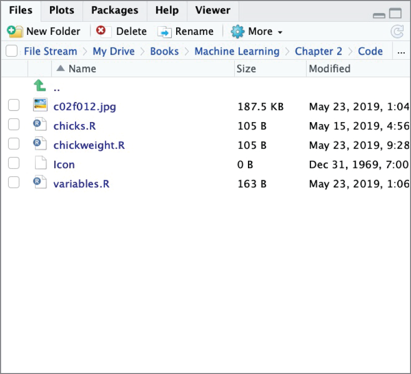 Snapshot of the Files tab in Rstudio which allows to interact with the device&rsquo;s local filesystem.