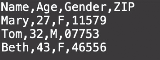 Snapshot of CSV file containing the same data as the spreadsheet in Figure 3.1.