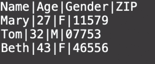 Snapshot of Pipe-delimited file containing the same data as the spreadsheet in Figure 3.1.
