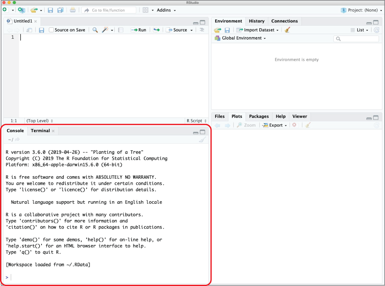 Snapshot of the RStudio Desktop with the console pane highlighted.