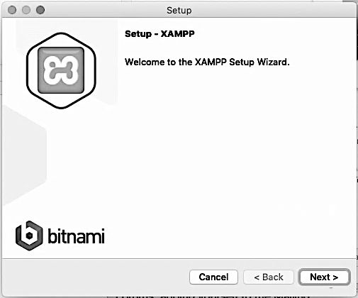 Image 2 - XAMPP installation start screen