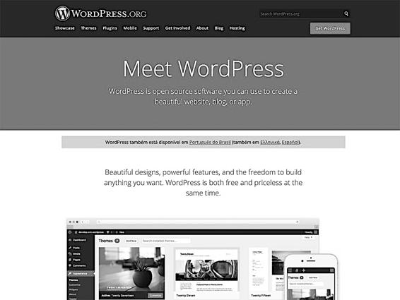 Image 10 - WordPress.org Home Page