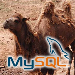 MySQL table names