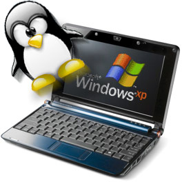 Windows and Tux