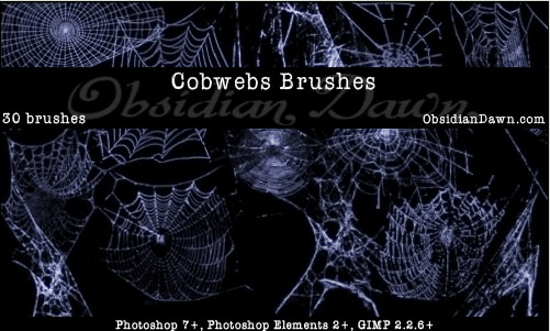 cobwebs
