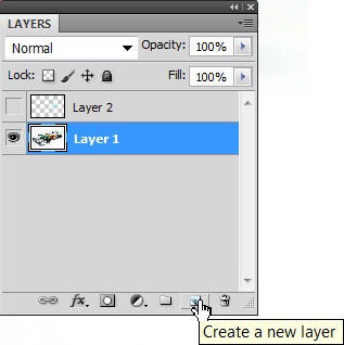 Newlayer