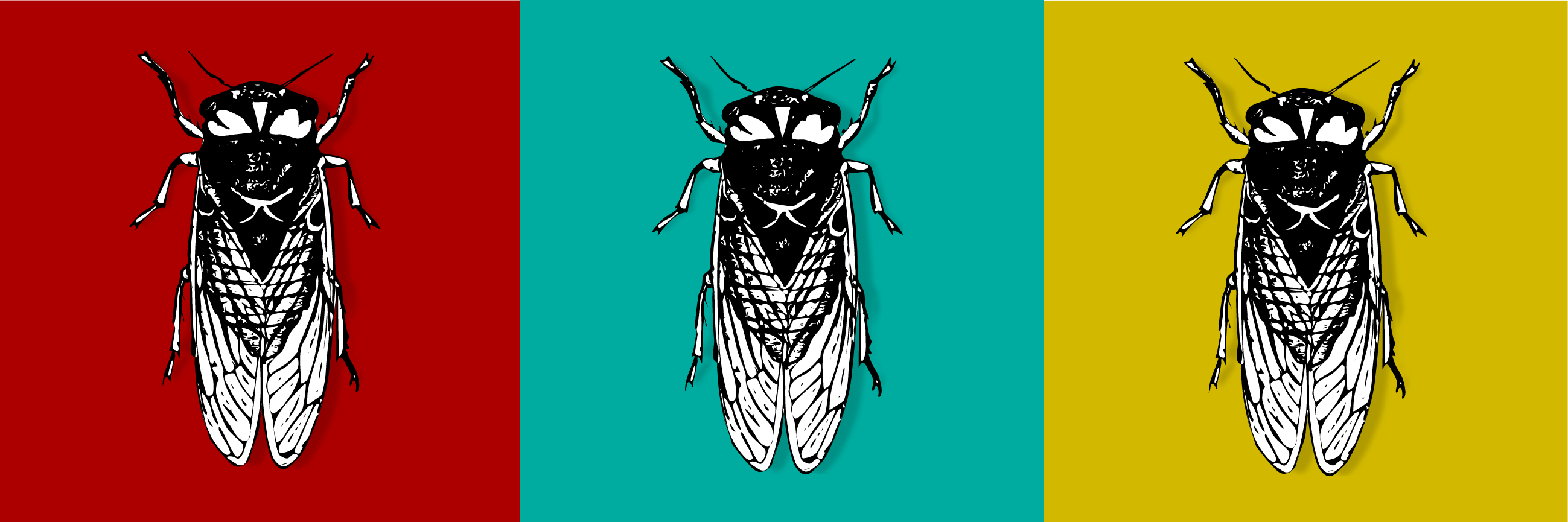 The Cicada Principle and Why It Matters to Web Designers