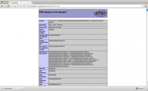 A phpinfo Page