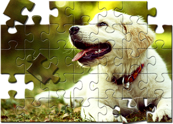 jigsaw puzzle Photo effect