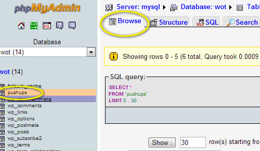 phpMyAdmin pushups table