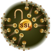 SSL - Security gold