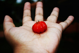 A hand holding a bright cherry 