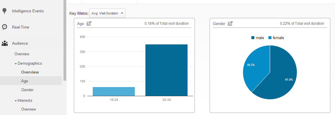 Demographics Visitor Duration