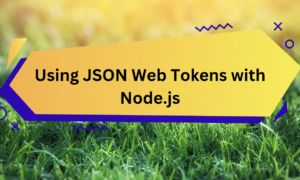 Using JSON Web Tokens with Node.js