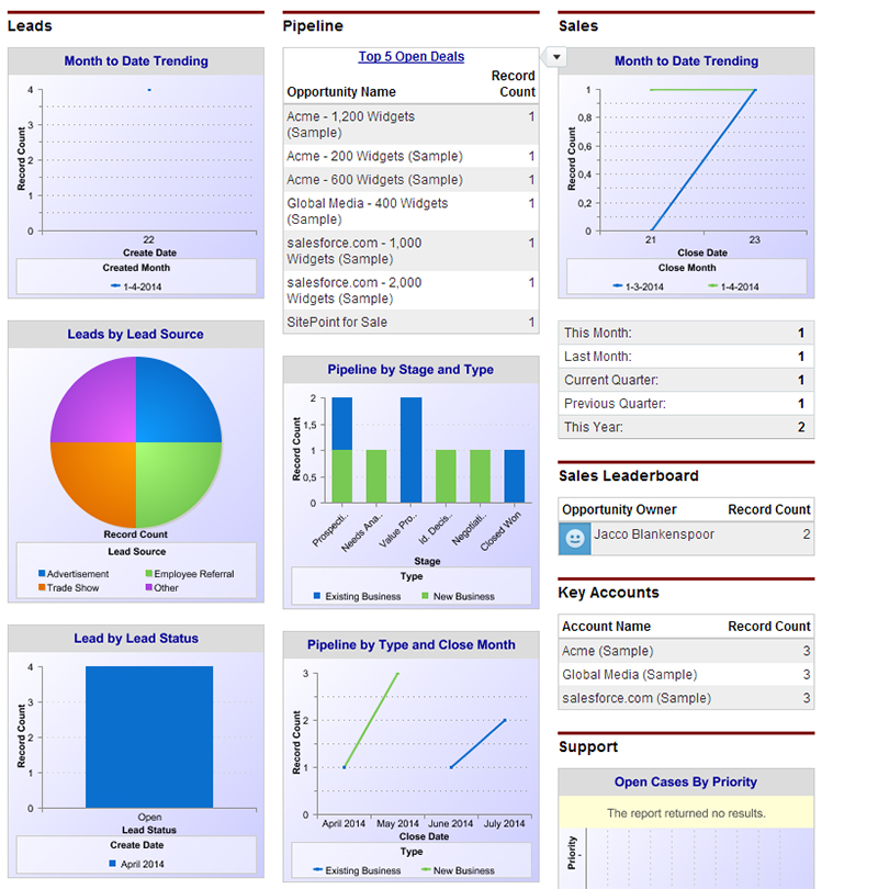 Salesforce Dashboard]