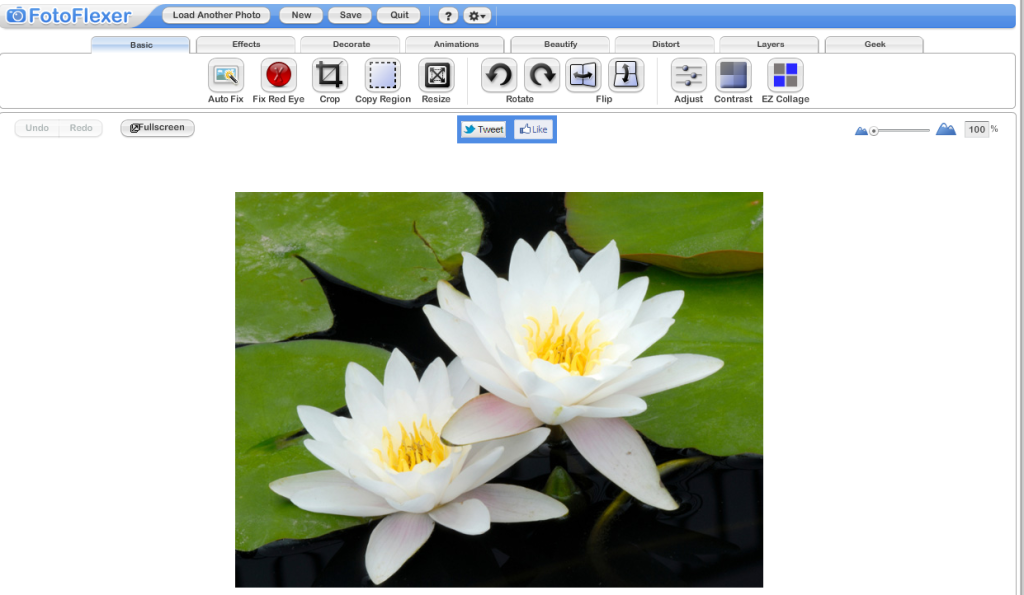 5 Free Based Alternatives — SitePoint