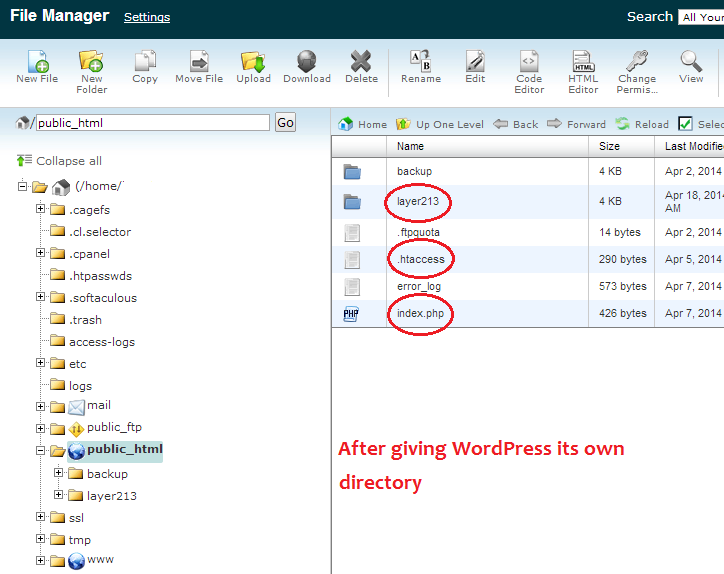 The public_html Directory After Moving WordPress