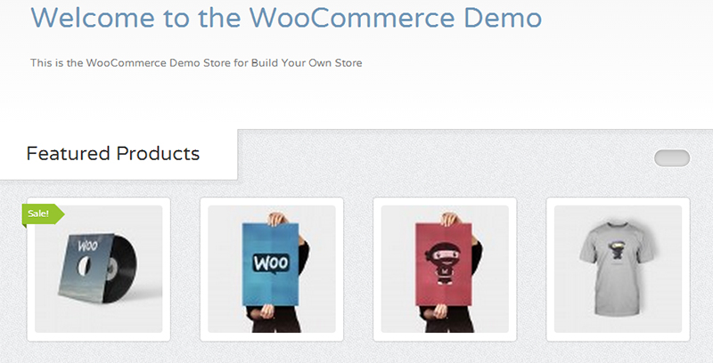 WooCommerce Demo