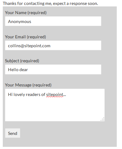 WordPress Contact Form Plugin Example