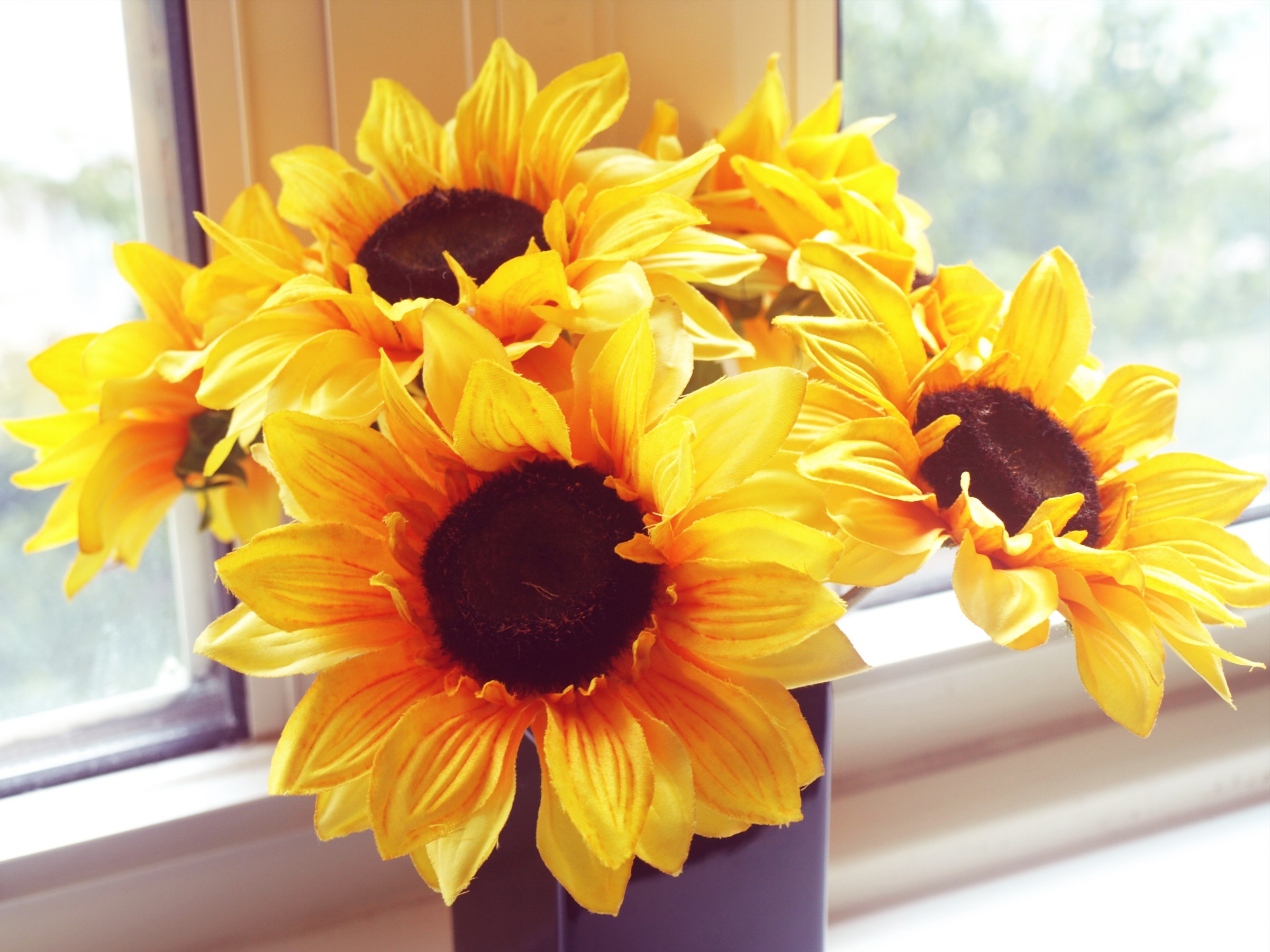 Original - sunflowers