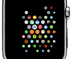 The Apple Watch UI