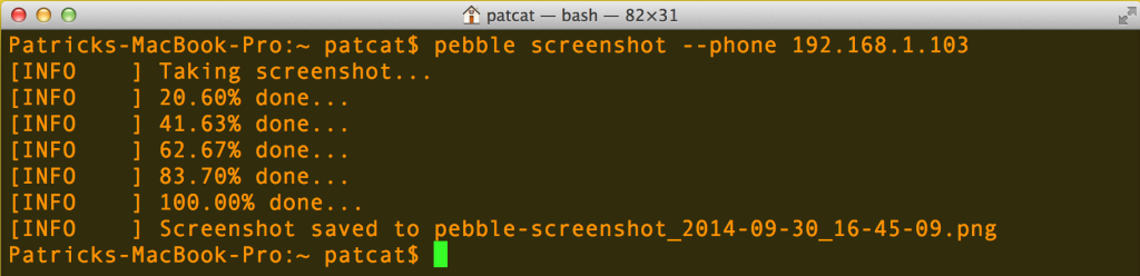 Running the screenshot command<