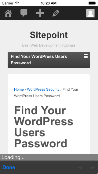 PhoneGap using WordPress 3
