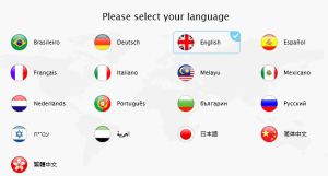 Representing language on the web