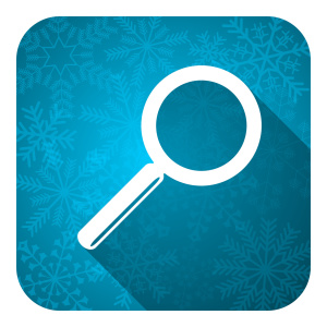 search flat icon, christmas button