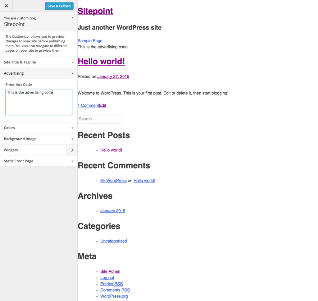 WordPress Theme Customizer API Example