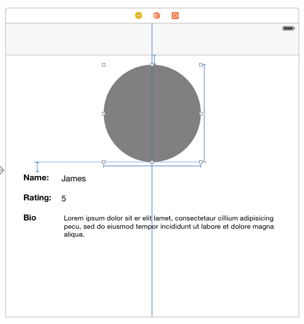 Grey circle in image