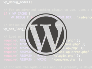 An Introduction To The Wp Error Class Sitepoint An Introduction To The Wp Error Class Sitepoint