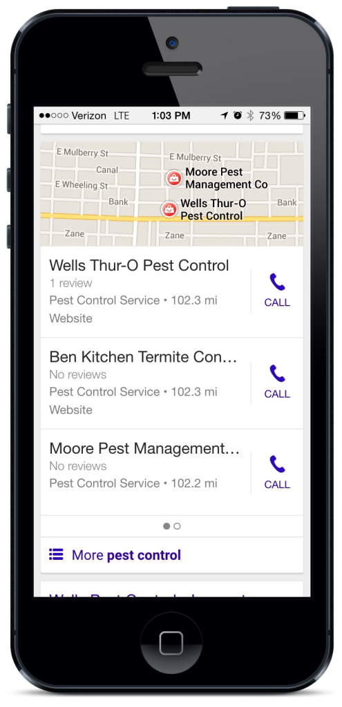 A preview of mobile local search