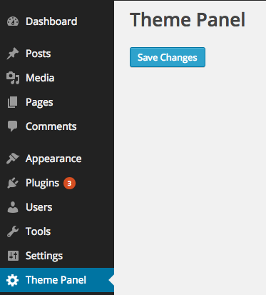Theme Settings API Example