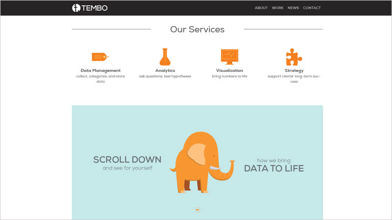 Tembo website: offers only 5 options.
