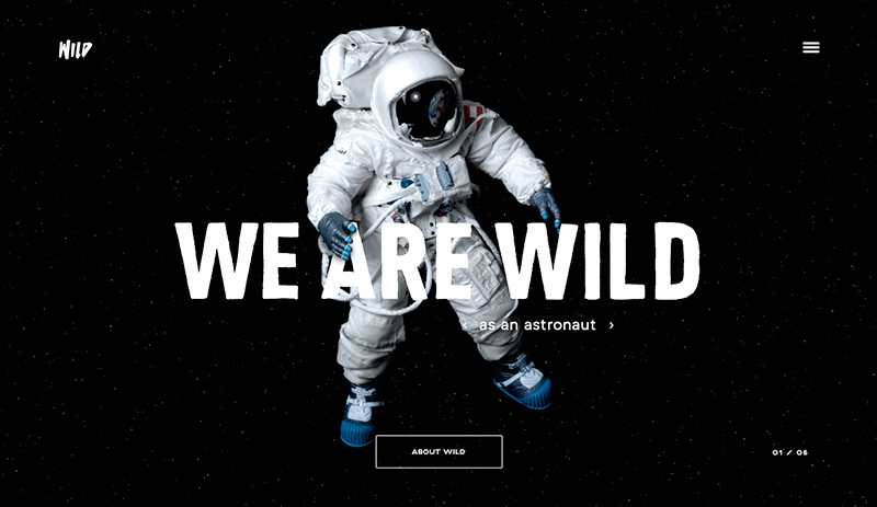 Screenshot: We Are Wild