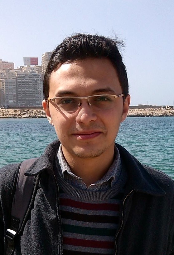 Mohammed Safwat