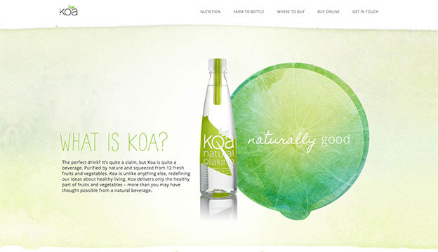 Website for Koa