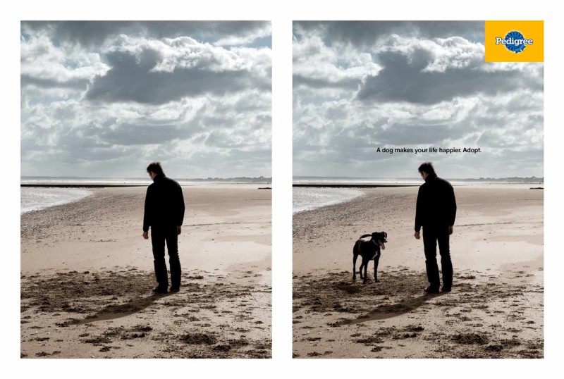 Two photos: Man alone - man with dog
