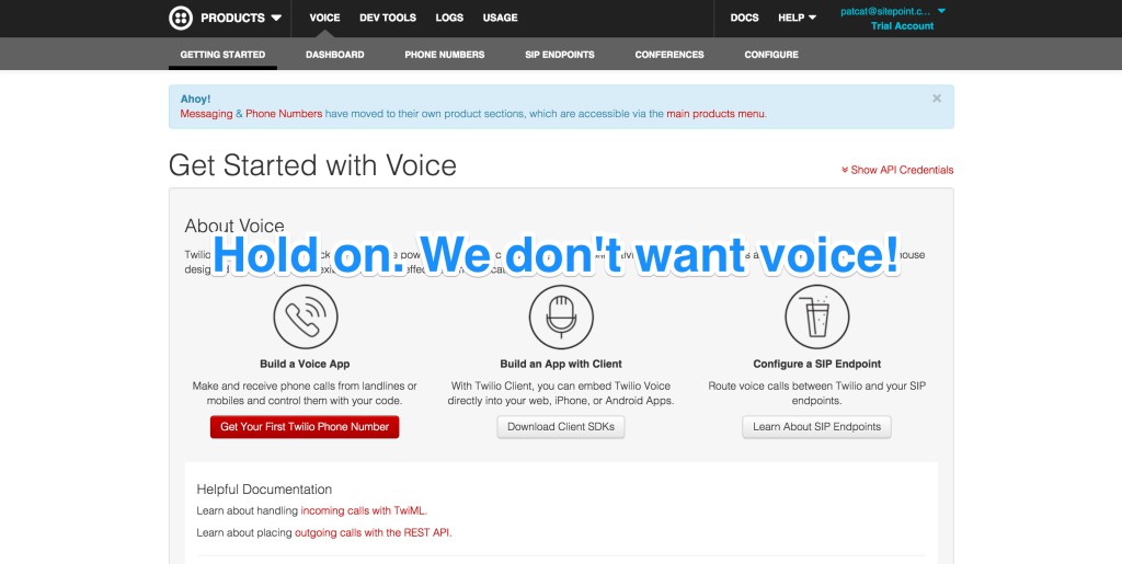 The Twilio voice screen