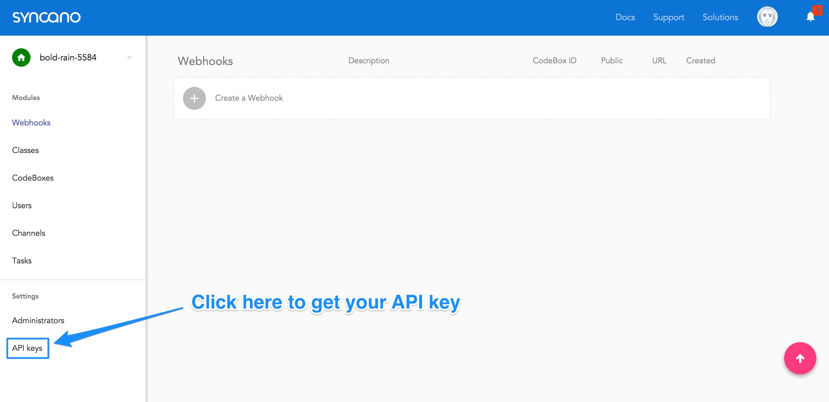 Going to the Get API Key screen