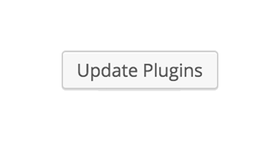 WordPress Plugin Updates