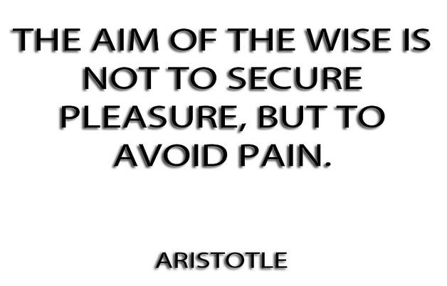 The Aim of the wise is not to secure pleasure but to avoid pain  - Aristotle