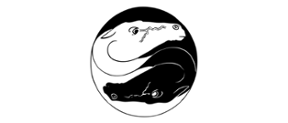 dragon yin yang