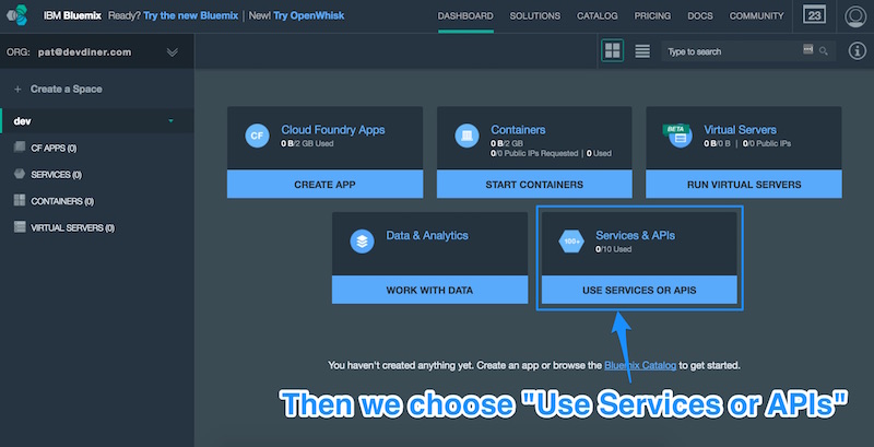 Choosing Use Services or APIs