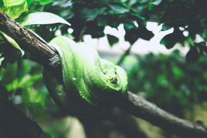 5 Common Problems Faced by Python Beginners