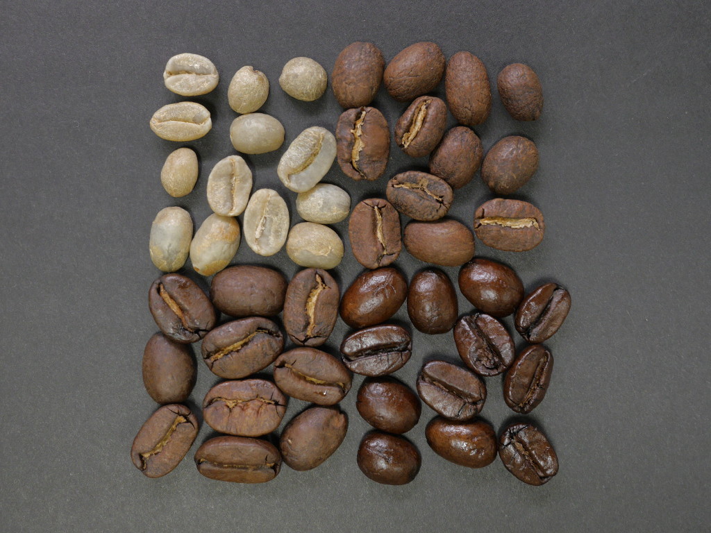 Understanding Java Variables and Data Types