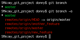 Command showing the branches in the local copy as well as the origin branch
