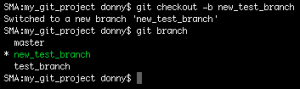 Create and checkout to a new branch in a single command